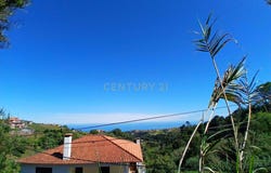 Ilha da Madeira, Madeira