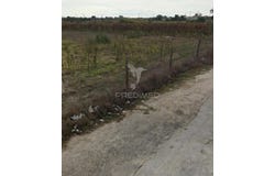 Palmela, Palmela, Setubal