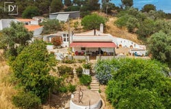 Mértola, Beja 7750