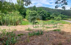 Caldas da Rainha, Leiria District