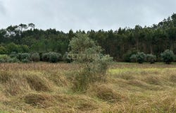 Redinha, Leiria District