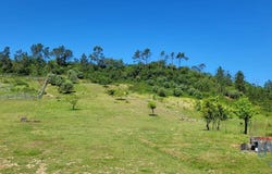 Leiria, Leiria District