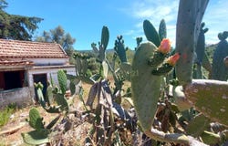 Setúbal (são Julião, Setubal