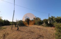 Faro, Faro
