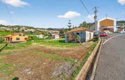 Canhas, Madeira 9360