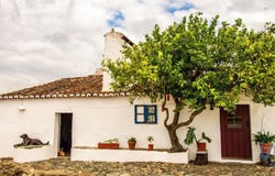 Vila Boim, Portalegre 7350