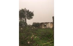 São Barnabé, Beja District