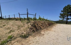 Leiria, Leiria District