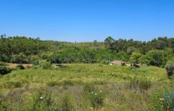 Beja, Beja District