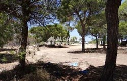 Almancil, Algarve
