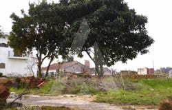 Bustos, Aveiro District