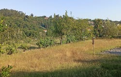 Orgens, Viseu District 3510-687