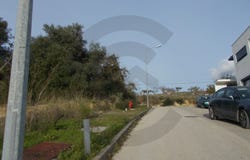 Torres Novas (São Pedro), Santarém District