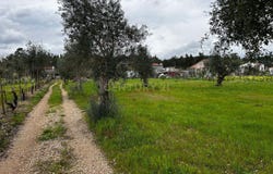 Poiares (Santo André), Coimbra District