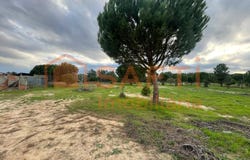 Grândola e Santa Margarida da Serra, Setubal