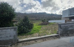 Braga, Braga