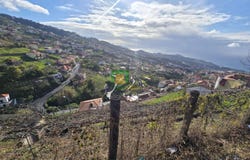 Câmara De Lobos, Madeira 9300