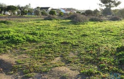Asseiceira, Santarém 2305