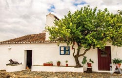 Vila Boim, Portalegre 7350