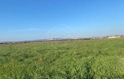 Quarteira, Algarve