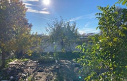 Aldeia Nova De São Bento, Beja 7830