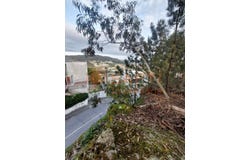 Infias, Braga
