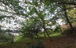 Unnamed Road, Guarda, Guarda District 6270