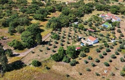 Abela, Setubal