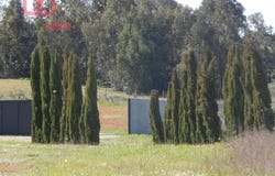 Ladoeiro, Castelo Branco 6060