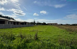 Branca, Aveiro District