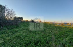 Caldas da Rainha, Leiria District