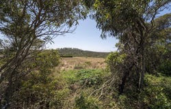 Aljezur, Algarve 8670