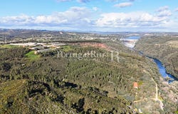 São Pedro De Tomar, Santarém 2300