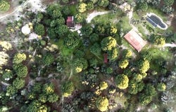 Cortiçadas de Lavre, Évora District