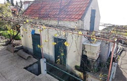 Canhas, Madeira 9360