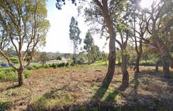 Silvalde, Aveiro District