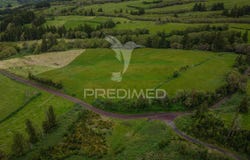 Cedros, Horta, Azores 9900