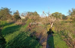 Silves, Faro