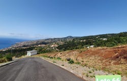 Ilha da Madeira, Madeira