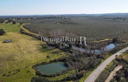 Avis, Portalegre 7480