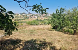 Soure, Coimbra District