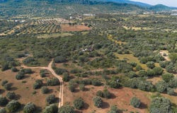Zibreira, Santarém District