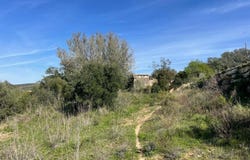 Conceição e Estói, Algarve 8005