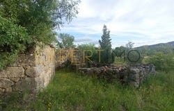 Guarda, Guarda