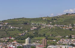 Peso da Régua, Vila Real District