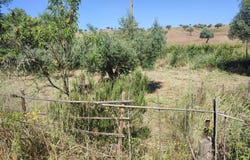 Aldeia de Santa Margarida, Castelo Branco District