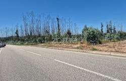 Leiria, Leiria District