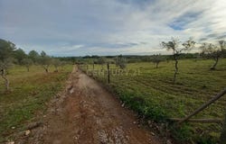 Ninho do Açor e Sobral do Campo, Castelo Branco District