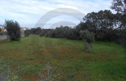 Malhou, Santarém District