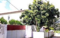 Caminha, Viana do Castelo 4910-583
